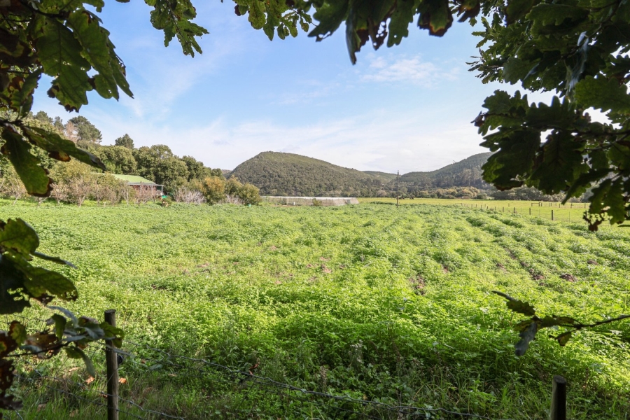 14 Bedroom Property for Sale in Knysna Rural Western Cape